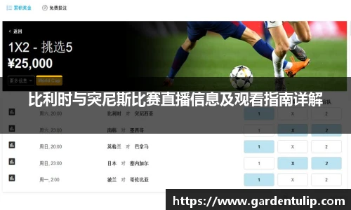 冰球突破APP