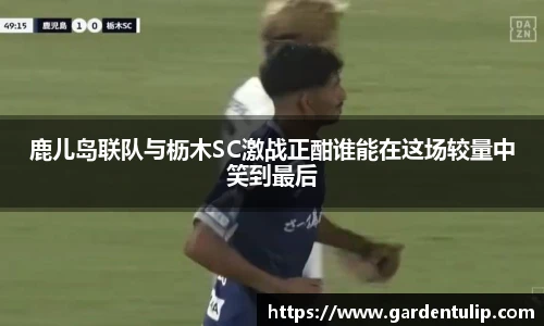 冰球突破