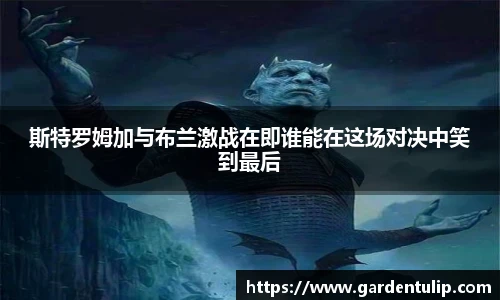 冰球突破APP
