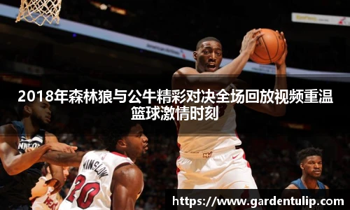 2018年森林狼与公牛精彩对决全场回放视频重温篮球激情时刻
